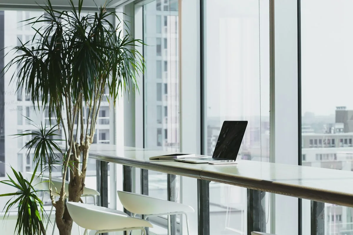 Bright modern office with plants and long desks